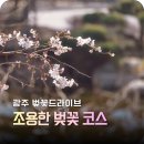 송산유원지 | 광주 벚꽃 드라이브코스 호남대학교 송산유원지 지금은 아직… 다음주가 좋을 듯