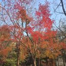 솔빛도서관 이미지