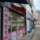 구피샵 한솔점