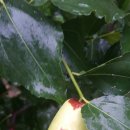 우림농원 이미지