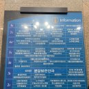 리지안안과의원 이미지