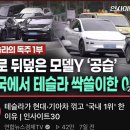 테슬라 현기차 제치고 국내 판매량 1위했네 이미지