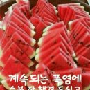 애련농장 이미지