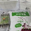 텃밭 | 집에서 대파키우기 파모종으로 베란다텃밭 파테크 플라팜 후기