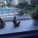 블루버드펜션 이미지