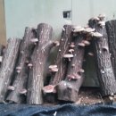 서당골 농장 이미지