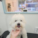 스포팅