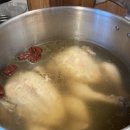 토마토고시텔