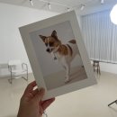 스튜디오해픈 이미지