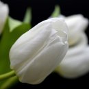 선바위골프랜드 이미지