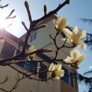 꽃바위작은도서관 이미지