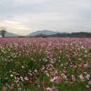 8월 21일 여행방 백운계곡으로 떠납니다, 이미지