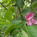 길주공원 이미지