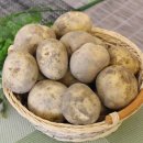 자연대로 이미지