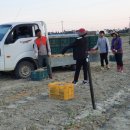 씨돌농장 이미지