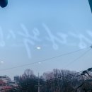 당당왁싱 - 강남구 선릉로 565 | 당당왁싱