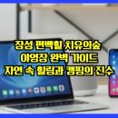 편백힐(치유의숲)야영장