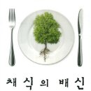 채식이네 이미지
