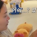 드림로또복권 TV리포트