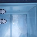 스카이(SKY) | [부산 해운대] 엘시티 전망대, 부산엑스더스카이(Busan X the Sky)- 내돈내산 후기