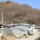 옥자동 이미지