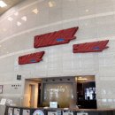 고양어울림누리 | [테이 콘서트] 2025 아침음악 나들이 고양문화재단 어울림누리 공연 후기