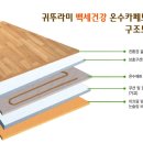 따솜 이미지