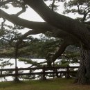 고내마을 이미지