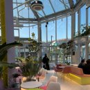 웁스(OOPS) 이미지