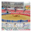 경북 청도 가볼만한곳(청도 소싸움,소싸움 테마파크)