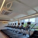 블랙맘바짐 이미지