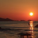 통영터널로가로수 이미지