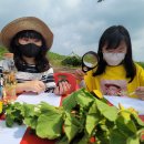 삼향북초등학교 이미지