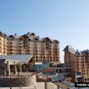 소노캄 델피노 A . B 이미지