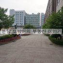 돌마초등길 네이버블로그