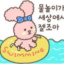 가평댕댕이애견펜션그린 이미지