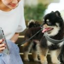 등원산업 이미지