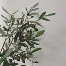 제이드비뇨기과의원 이미지