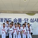 용인대박사청룡태권도 이미지
