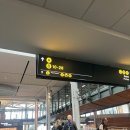 혜민카서비스 | [🇨🇦밴쿠버 일상] 밴프 1박 2일 (플레어 항공🤯 / Thrifty 렌트 / Canmore 가성비 숙소 / 베이글 맛집...