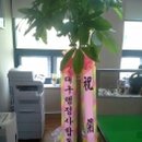 김덕수세무회계사무소