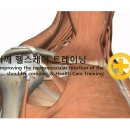 수련헬스케어 이미지