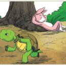 토끼와거북이 이미지