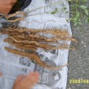 여행-추억만들기 이미지