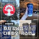 차지 강남 평일 어플 주문 오픈런 후기 및 다홍파오 자스민 밀크티 맛 성분 당도ㅣ차지 밀크티 추천