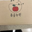 큰솔농장 | 못난이 사과 택배 후기, 맛이 괜찮을까?