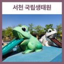 서천생태공원 | ‘서천생태공원’ 찍고 헤맸던 날, 결국 도착한 국립생태원 가족 여행