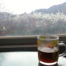 창가의 풍경 이미지