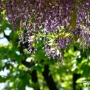 사회복지법인여수애양병원 이미지