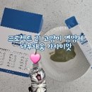 맛으로채움
